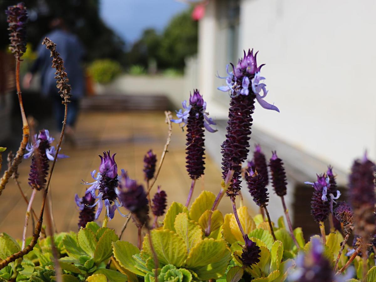 Bellum Hotel Mount Gambier Εξωτερικό φωτογραφία
